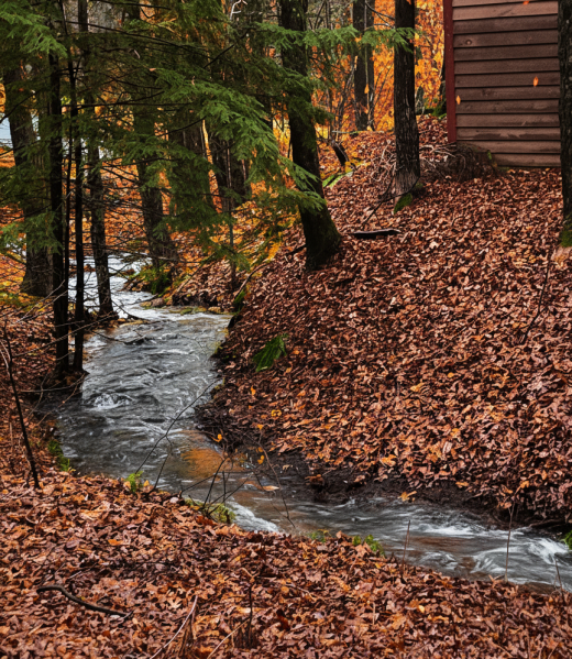 creek in fall
